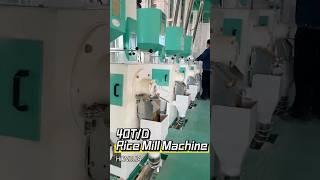 40T/D Rice Mill Plant | Rice Process Machine Manufacturer-Hongjia Grain Machinery #ricemillsupplier