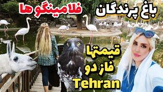 IRAN Garden Bird Identification Guide bird Names and Songs