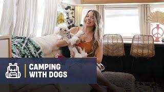 RV Living with Dogs: How to Take Care of Your Pups While on the Road | Campsite Classes