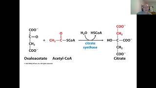 CSMechanism