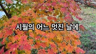 시월의 어느 멋진 날에..가을느낌 영상과 함께 그녀에게 바치는 사랑노래(노래 김동규)