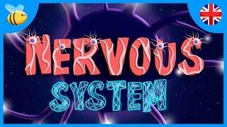 The Nervous System | Educational Videos for Kids