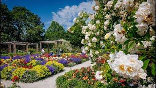 egapark Erfurt - Park, Blütenmeer und Erlebniswelt – mitten im Herzen Thüringens