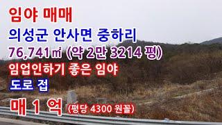 임야매매 의성군 도로접한 임업인 하기 좋은 싼 임야 매매