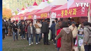 경북 사과 홍보 축제, 4~6일 서울광장에서 열려 / YTN