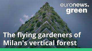 Flying gardeners defy gravity to keep Milan's vertical forest alive