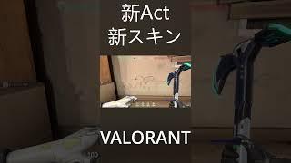 新シーズン新actの新スキンも一応書けます、買いです#shorts