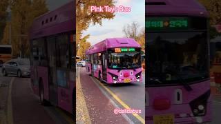 #tayo #bus ️ 서울 #해치버스 #hechi