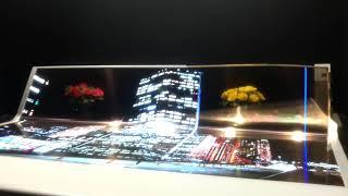 LG Display live demo 77-inch transparent flexible OLED