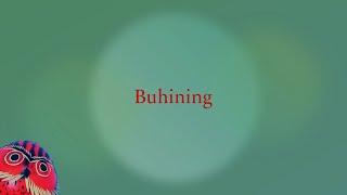 BuhitoRed - Presentación de los Buhining