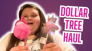 Amberlynn Reid Dollar Tree Hauls Compilation Part 2