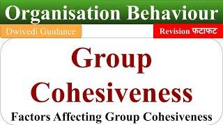 group cohesiveness, group cohesiveness in organisational behaviour, organisational behaviour, OB