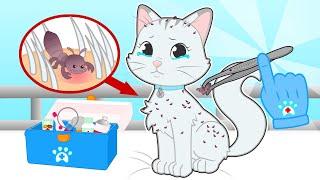 BABY PETS 🪳 Kitty Kira has Lice