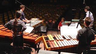 Mallet Quartet | Steve Reich (Liszt Academy Budapest)