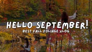 Hello September  Autumn Vlog, Best Fall Foliage, Slow Living, Cozy Slow Autumn Day, Cottage Garden