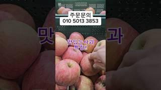 "사과의 모든 것! 가정용, 선물용, 제수용까지 준비 완료!"#설날선물 #선물 #제철과일 #제수용사과 #부사 #사과 #흠과 #마른기스