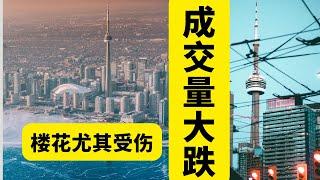 多伦多房子销量连续下跌！楼花很受伤！ 损失30万离场 ！ 10月份销售惨淡！ #多伦多  #房产  #楼花 #加拿大  #贷款