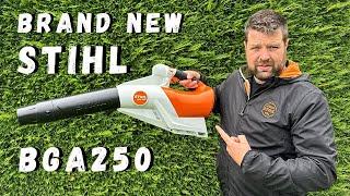 The NEW Stihl BGA250 - Is this the BEST Leaf Blower In the WORLD?