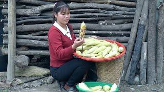 Picking sweet sticky corn to bring home and boil it to sell, Xuan's daily life