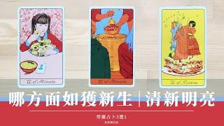 3選1｜日蝕&颱風能量大清理哪方面耳目一新｜迎接新生？好事連連‍️除舊佈新｜神諭卡建議  無時間限制 Timeless｜塔羅 占卜