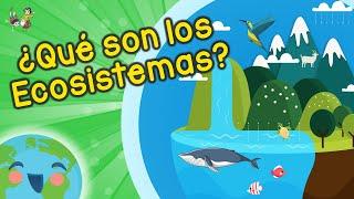 ¿Qué son Los Ecosistemas? (Videos Educativos para Niños)