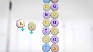 Overview of Illumina Sequencing by Synthesis Workflow | XLEAP SBS chemistry