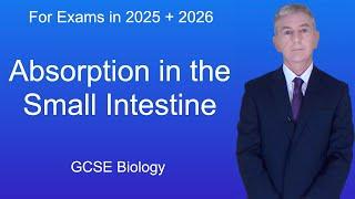 GCSE Biology Revision "Absorption in the Small Intestine"