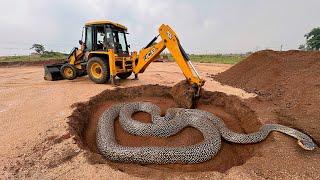 Snake Show On JCB Working Place | Attack Snake On Driver | Making Pond On Park | #snake #jcb