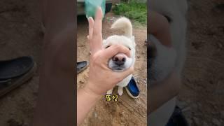 오잉