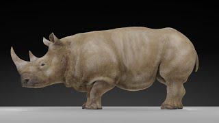 Grey rhino