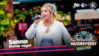 Senna - Kleine vogel (LIVE) • Muziekfeest op het Plein 2024 // Sterren NL