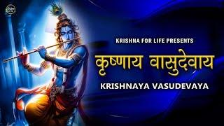 Krishnaya Vasudevaya Haraye Paramatmane | Krishna Mantra | Krishna Flute Music | Krishna Lofi Song