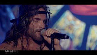 Shaka Ponk : I'm picky @Alcaline (France 2)