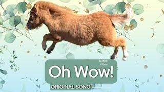 Wow! Cute Shetland Foal Slays to Banging Tune! ️