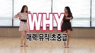 WHY Line Dance 무언가 끌리는 음악/리듬^^캬~라인댄스