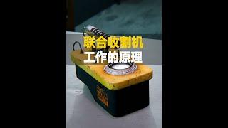 為什么說”蓋革一叫，生命折掉”，蓋革計數器工作原理 #科普知識 #漲知識 #放射性物質 #生命