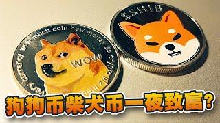 迷因币是什么？狗狗币柴犬币怎样一夜致富？该怎么买才可减低风险｜Cryptonews