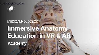 Study Human Anatomy in Virtual Reality: The Complete Human Body in VR