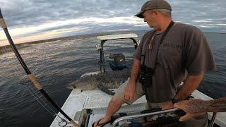 Big Gator almost pulls me out of the boat!!! Last hunt of the season