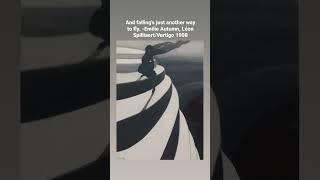 And falling's just another way to fly.-Emilie AutumnLéon Spilliaert/Vertigo 1908