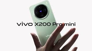 Vivo x200 pro mini