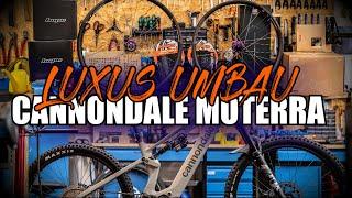 LUXUS UMBAU AM CANNONDALE MOTERRA! CARBON NOA HUBS LRS + XX1 TRANSMISSION + HOPE 4V4