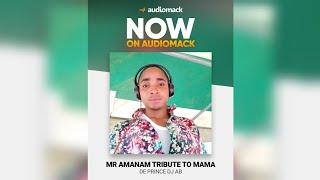 DE PRINCE DJ AB|MR AMANAM|MAMA SEASON 2