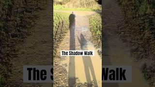 The Shadow Walker and Ted #walking #dogwalker #thediaryofadogwalker #puddles #nature #shadows