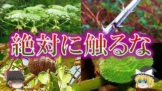 世界に生息する危険な植物5選【ゆっくり解説】