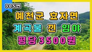 예천군 효자면 계곡물 낀 임야 평당 3500원 // 054)631-7300