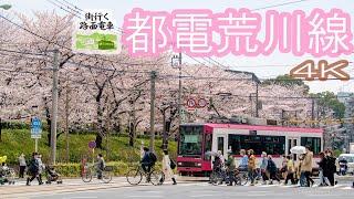 【4K】「街行く路面電車」都電荒川線