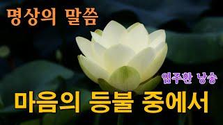 명상의말씀  마음의 등불 중에서  엄주환 낭송