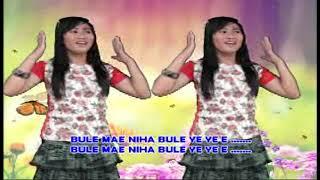 Lagu Nias Paling Mantap -  BULE - Official Musik & Video