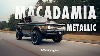 Macadamia Metallic | Modern Classic by Vintage